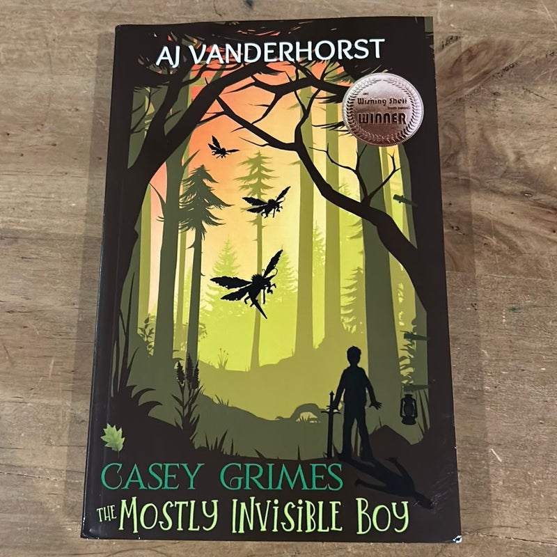 The Mostly Invisible Boy (Casey Grimes)