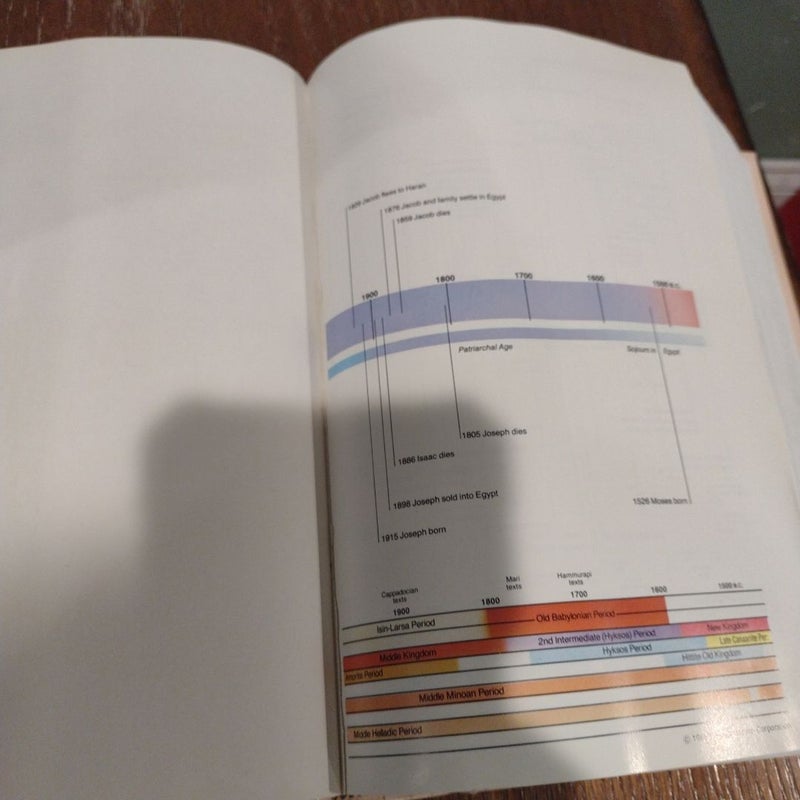 Niv study Bible