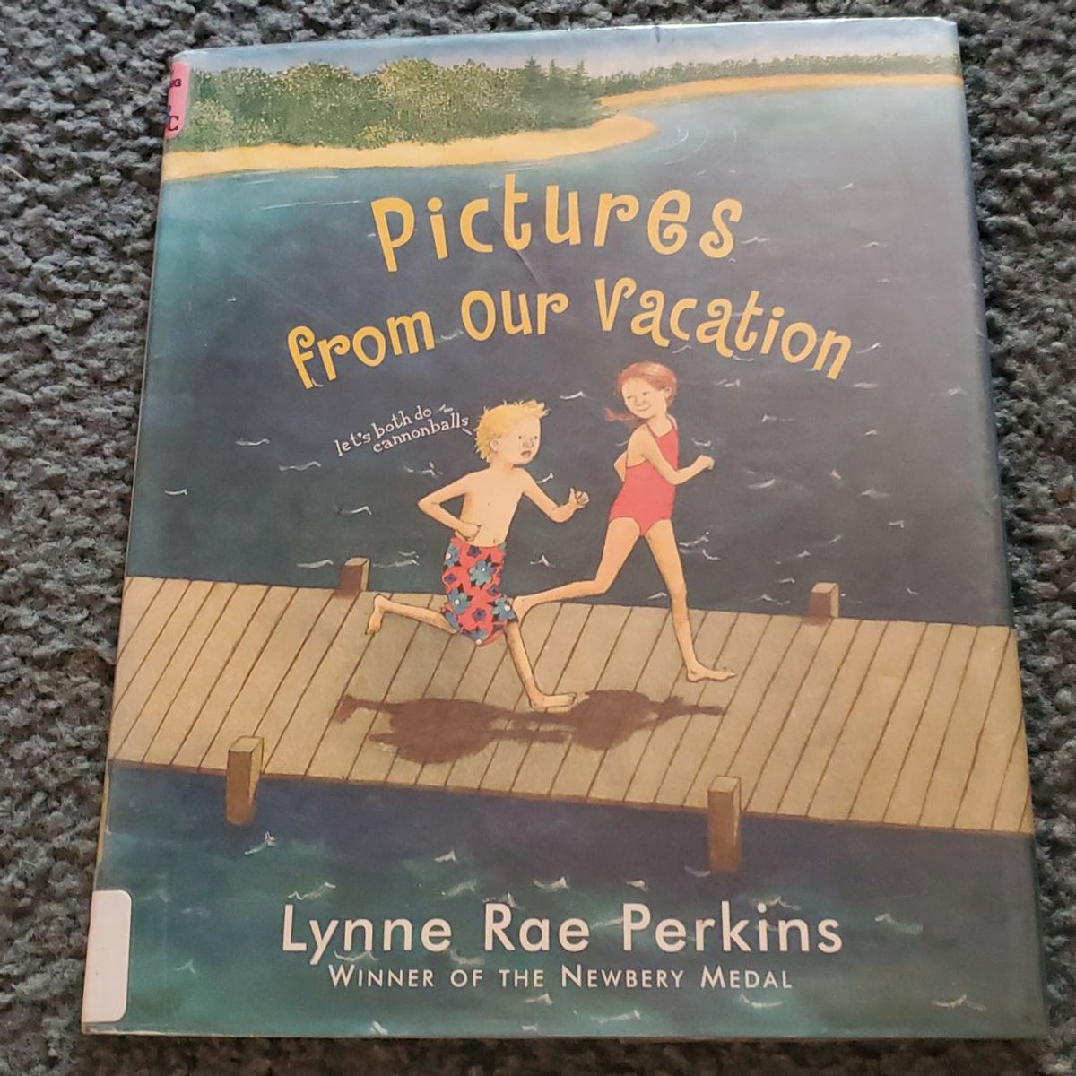 Pictures from Our Vacation by Lynne Rae Perkins, Hardcover | Pangobooks