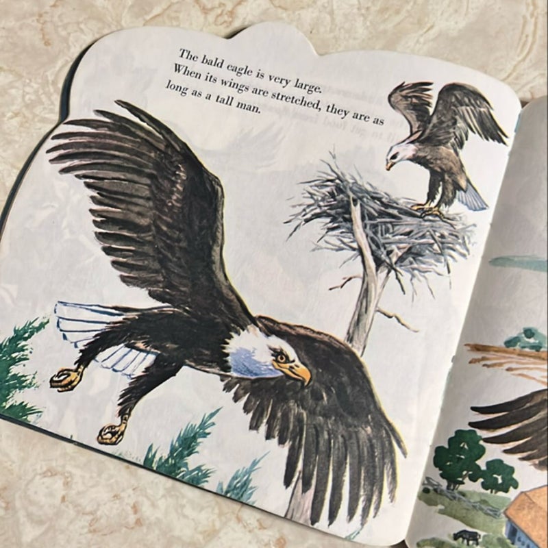 The Bird Book