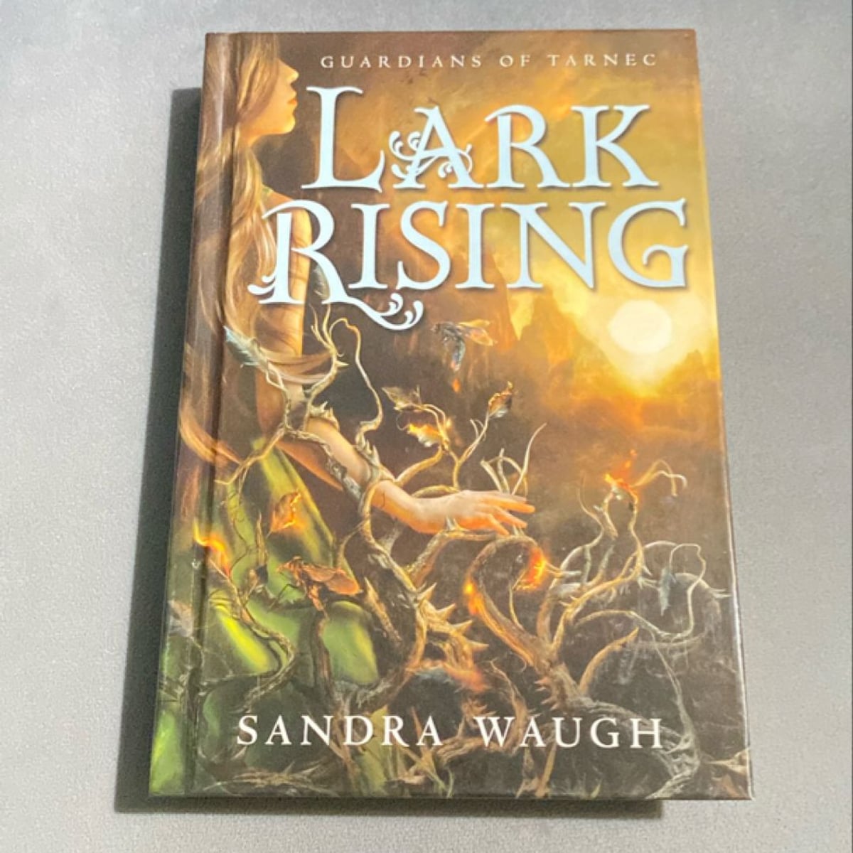 Lark Rising by Sandra Waugh