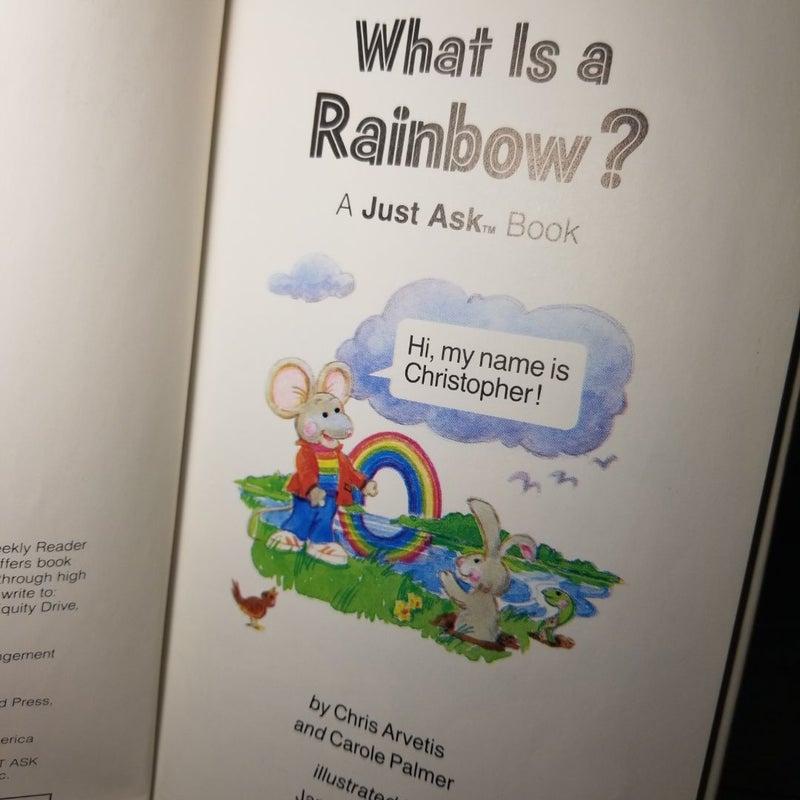 What is a Rainbow?