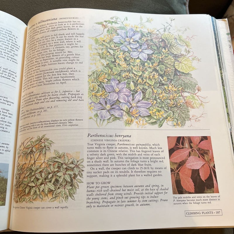 Reader's Digest Guide to Creative Gardening