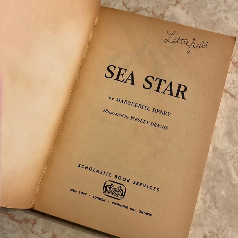 Sea Star: Orphan of Chincoteague 