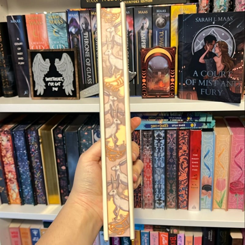 The Hollow Plane Bookish Box