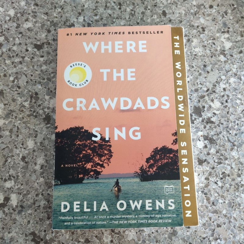 Where the Crawdads Sing