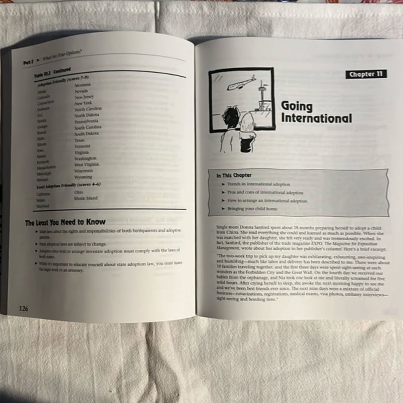 Complete Idiot's Guide to Adoption