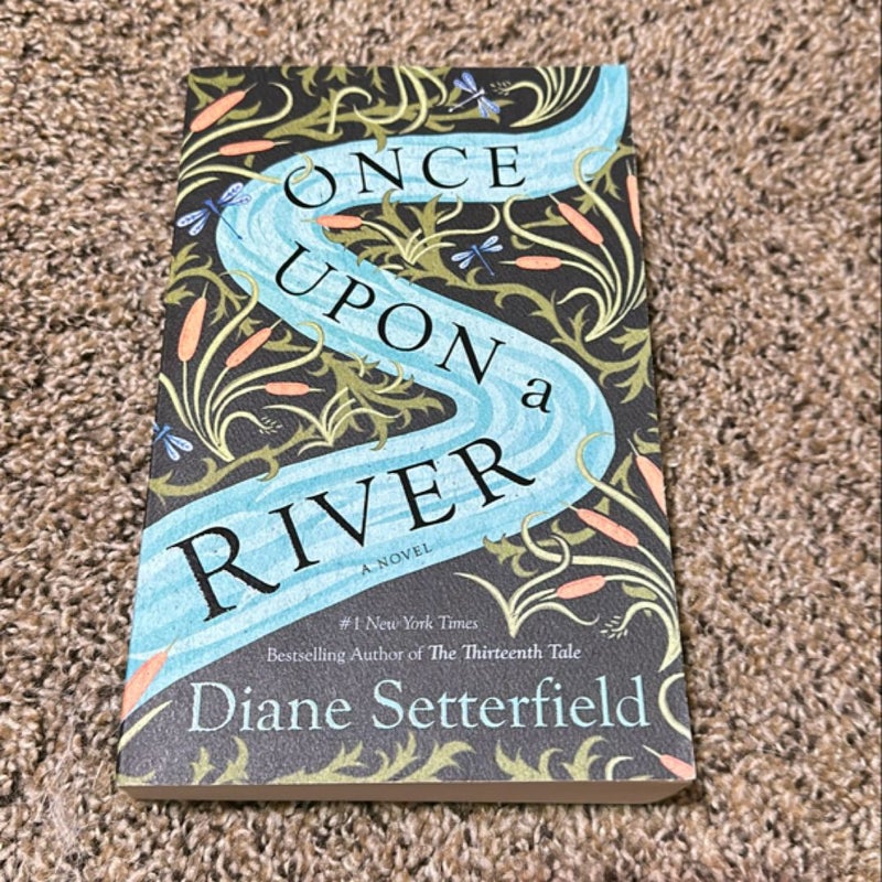 Once upon a River