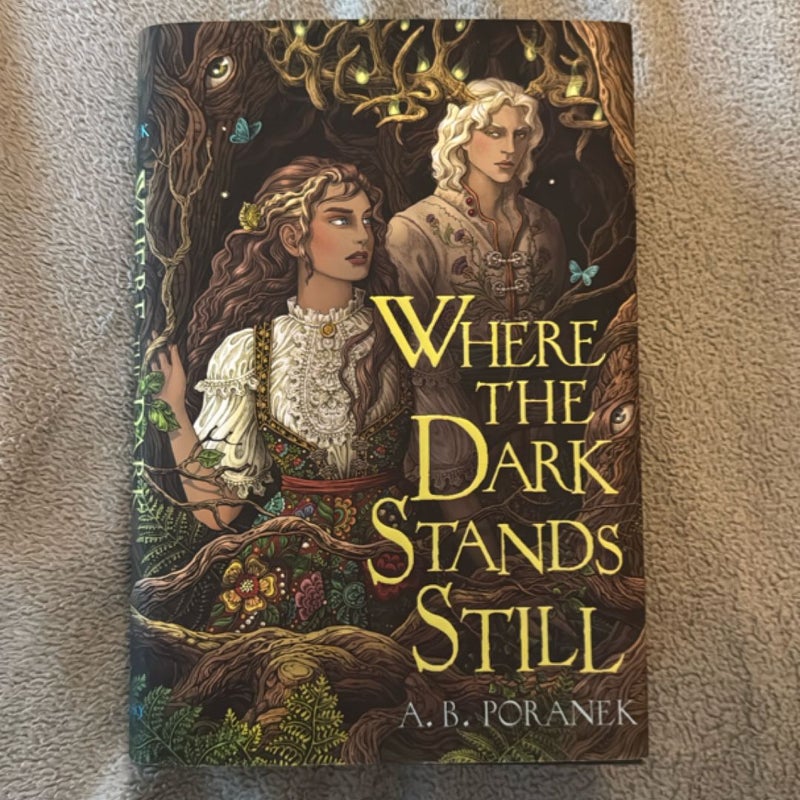 Where the Dark Stands Still