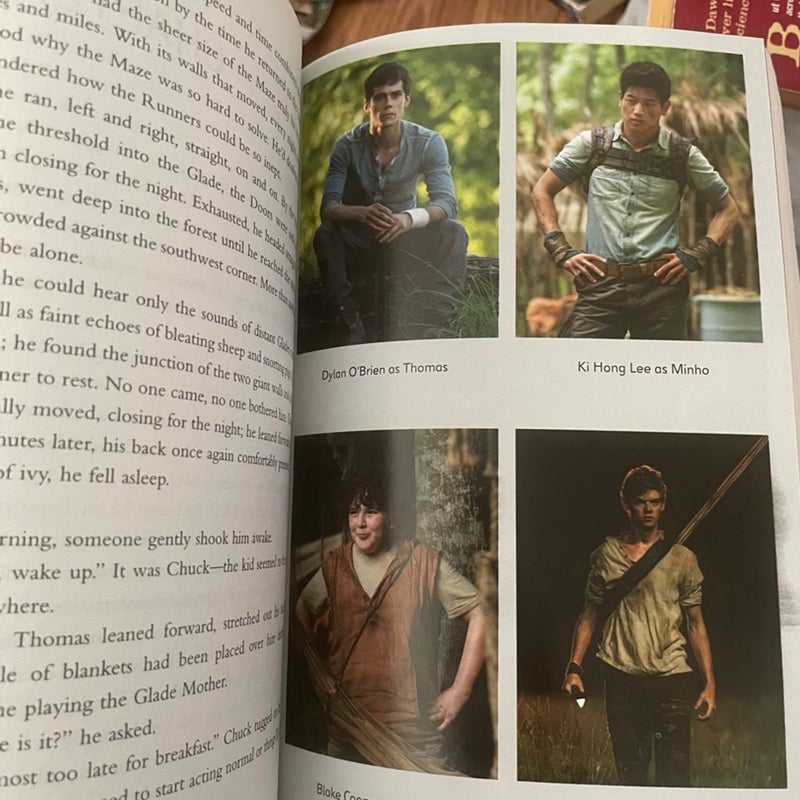 The Maze Runner