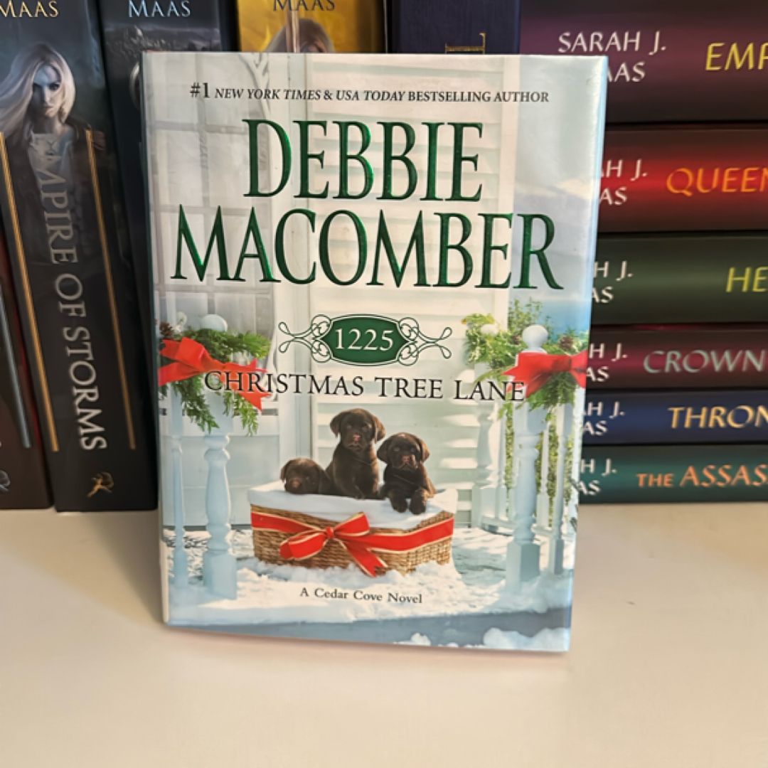 1225 Christmas Tree Lane