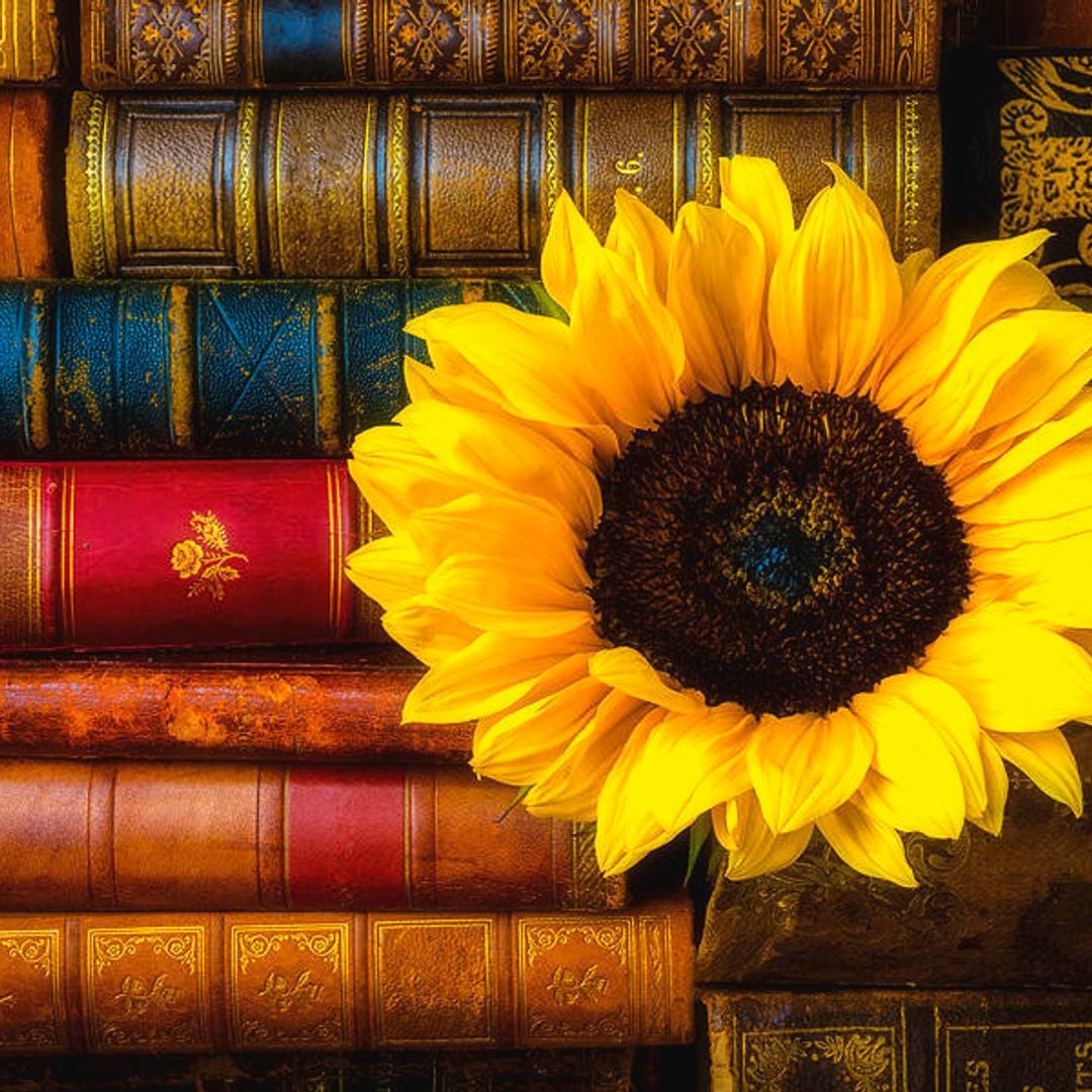Sunny’s Book Shop