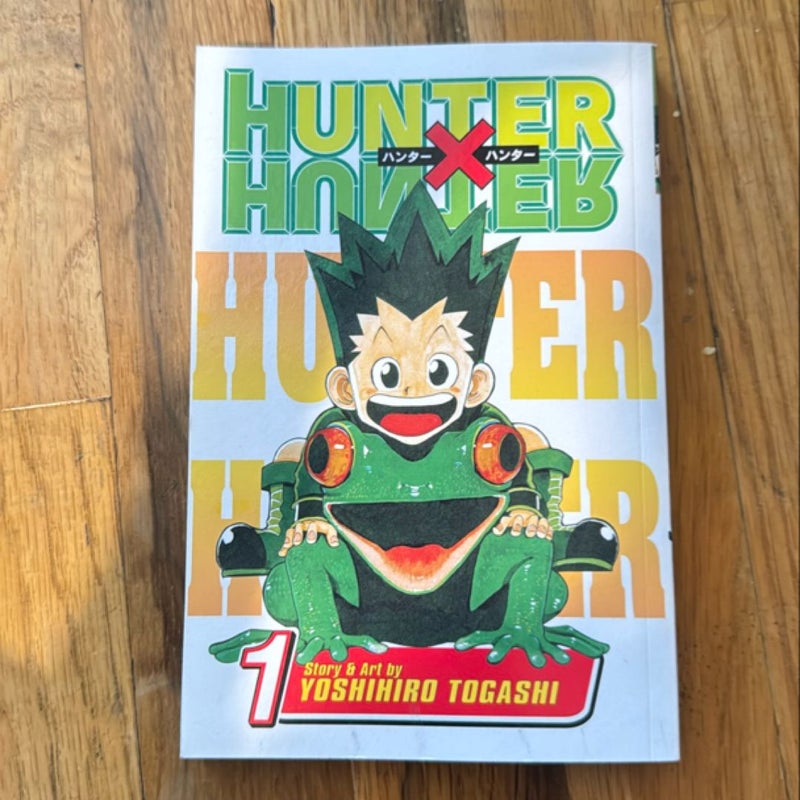 Hunter X Hunter, Vol. 1