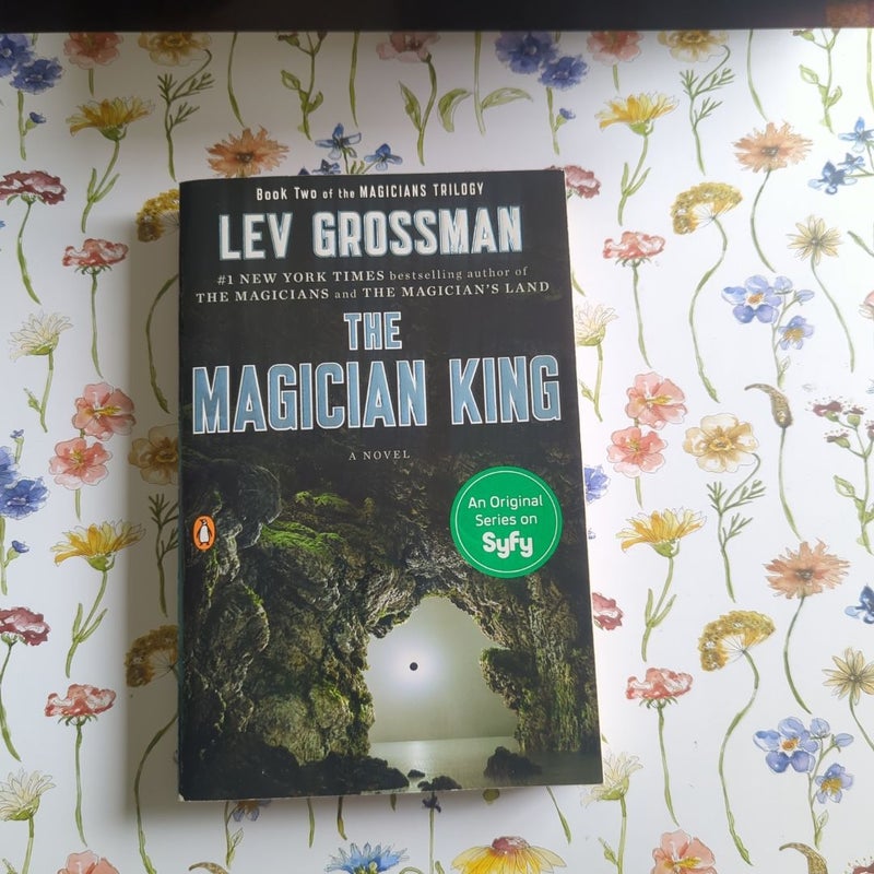 The Magician King