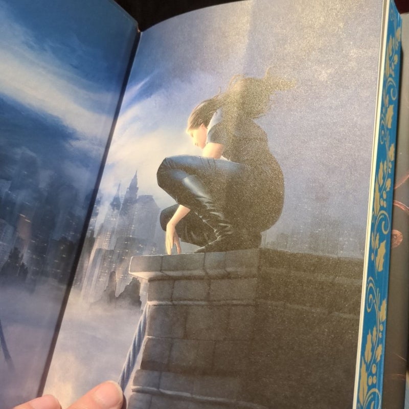 The Wren in the Holly Library (Deluxe Limited Edition)