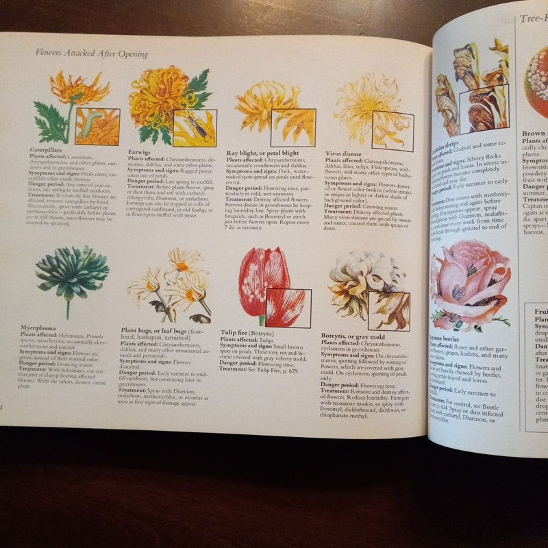 Illustrated Guide to Gardening