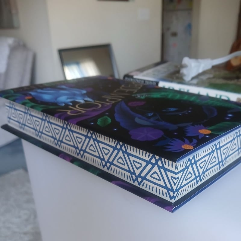 REDEMPTOR-Fairyloot Edition by Jordon Ifueko, Hardcover | Pangobooks