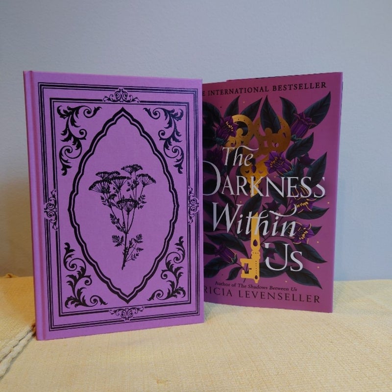 The Darkness Within Us, Fairyloot, Whole box, ACOTAR Bookends