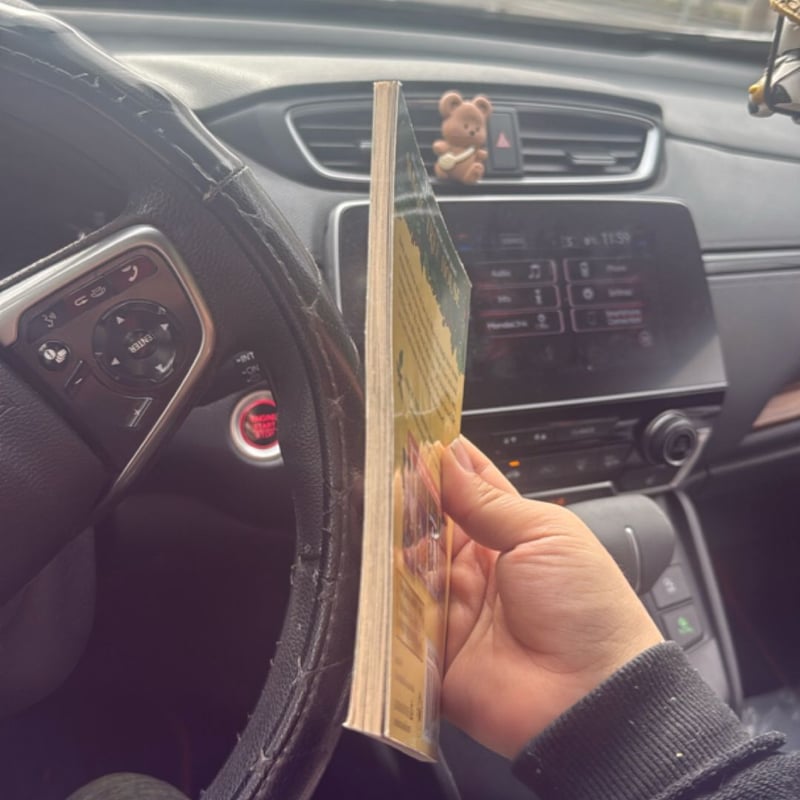 Afternoon on the Amazon