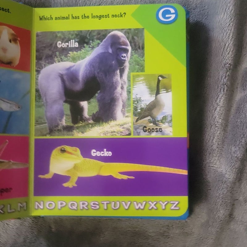ALIGGATOR TO ZEBRA ABCs