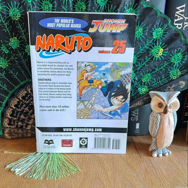 Naruto, Vol. 25