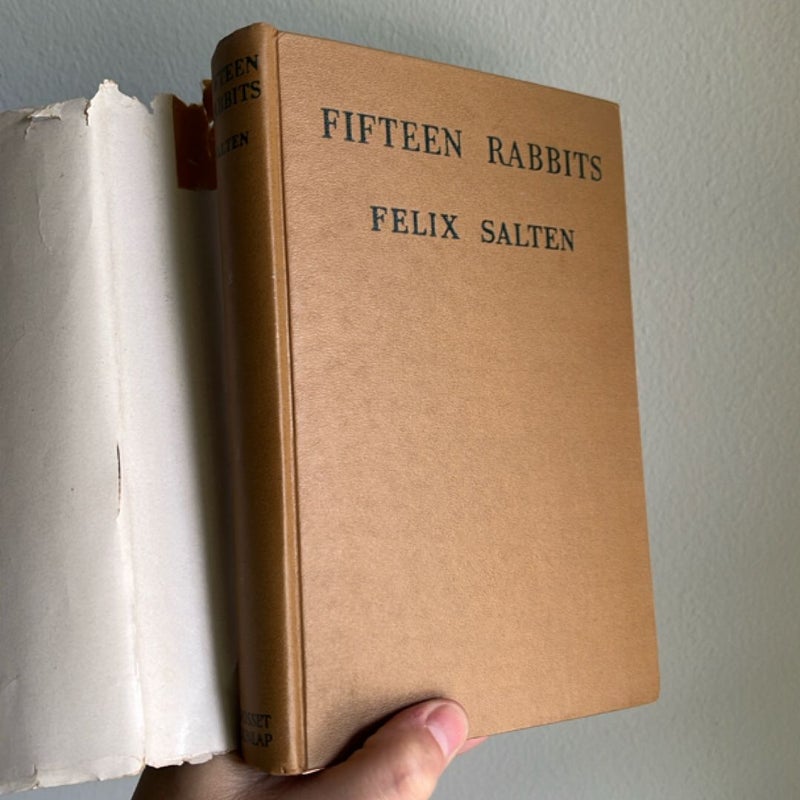 Fifteen Rabbits