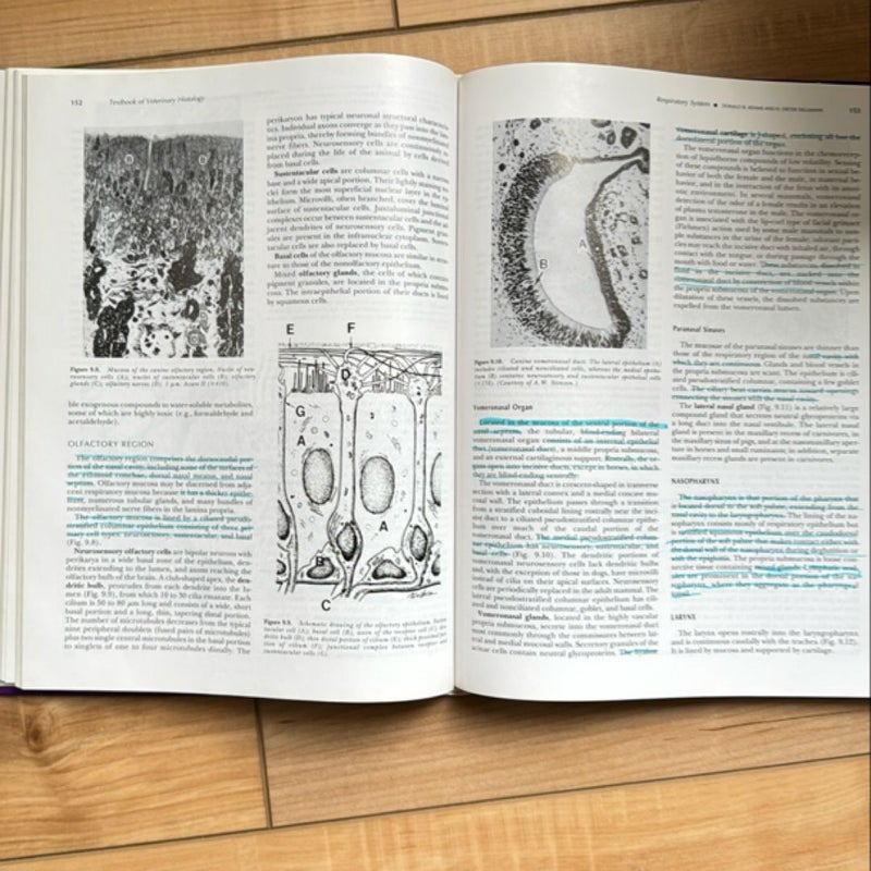 Textbook of Veterinary Histology