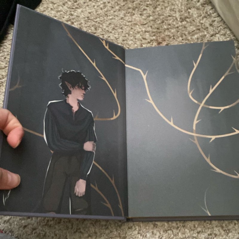 How the King of Elfhame Learned to Hate Stories Fairyloot