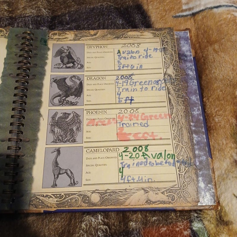 The Wizardology Handbook