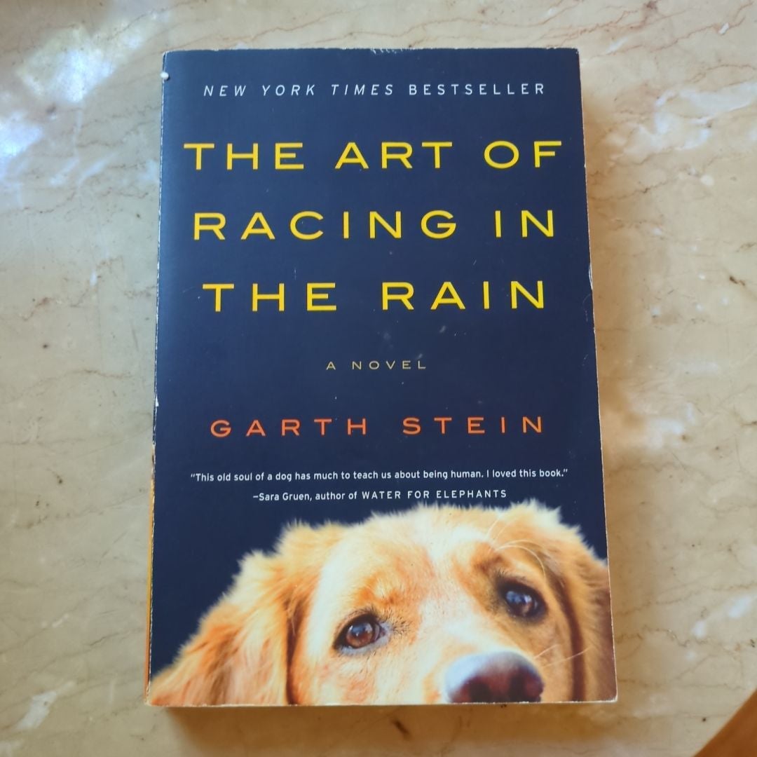 The art of racing in the rain 