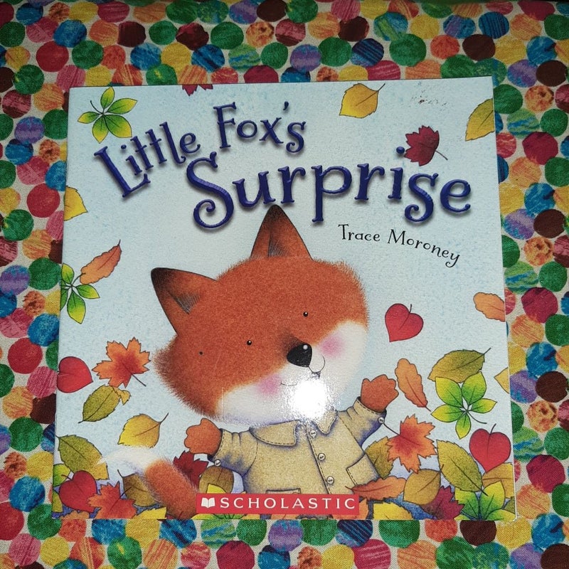 Little Fox's Surprise