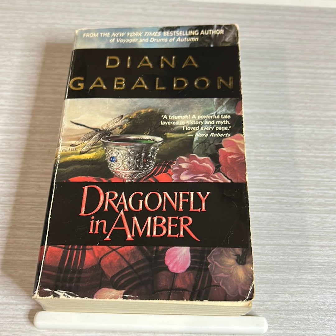 Dragonfly in Amber