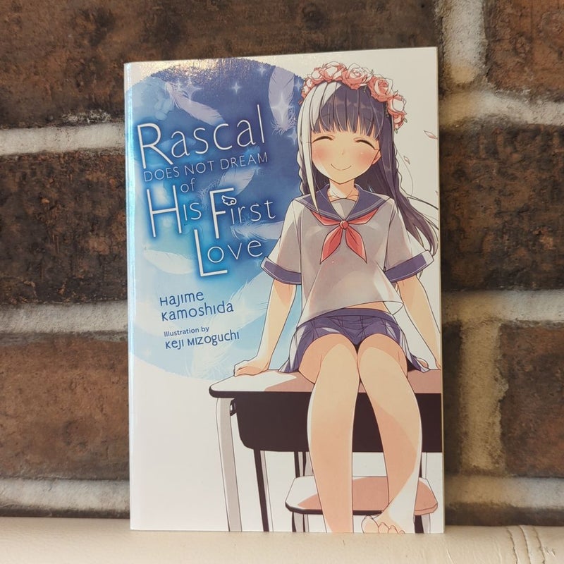 Rascal Does Not Dream of His First Love (light Novel)