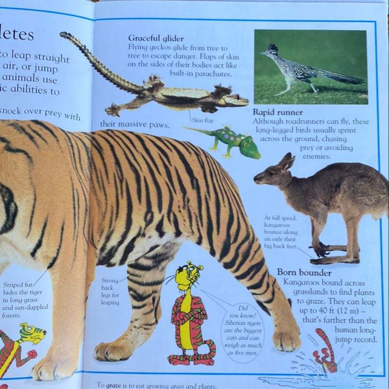 The Really Amazing Animal Book