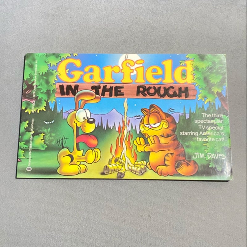 Garfield in the Rough