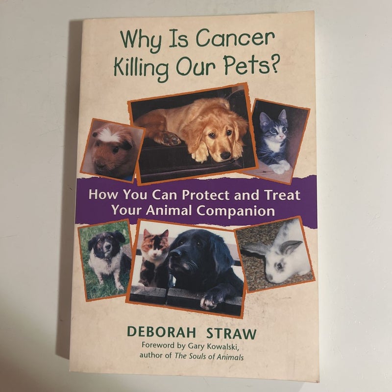 Why Is Cancer Killing Our Pets?