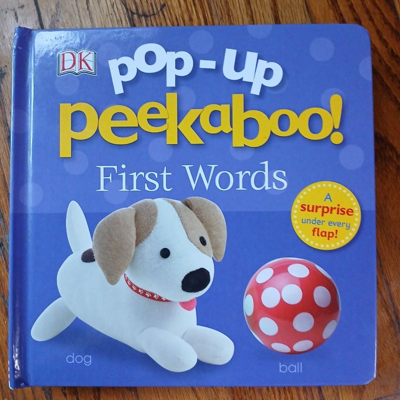 Pop-Up Peekaboo: First Words