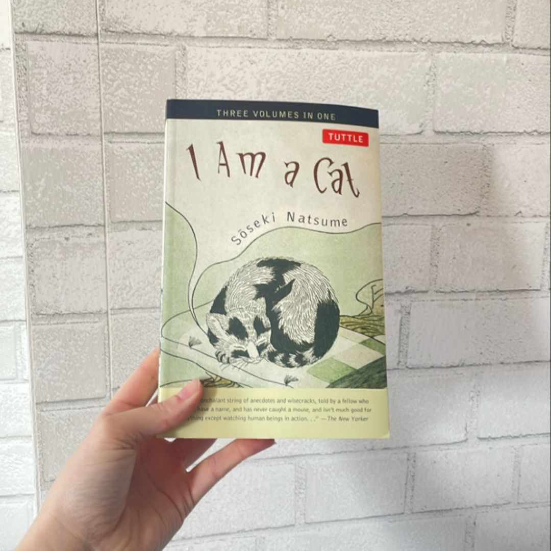 Sale image for 3be9dde8-a831-44ec-9e3b-7e229623e61e-9VBwqdZ4Z6QDvD7r6UNn6AAh6Az1