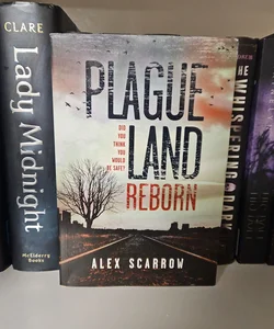 Plague Land Reborn 