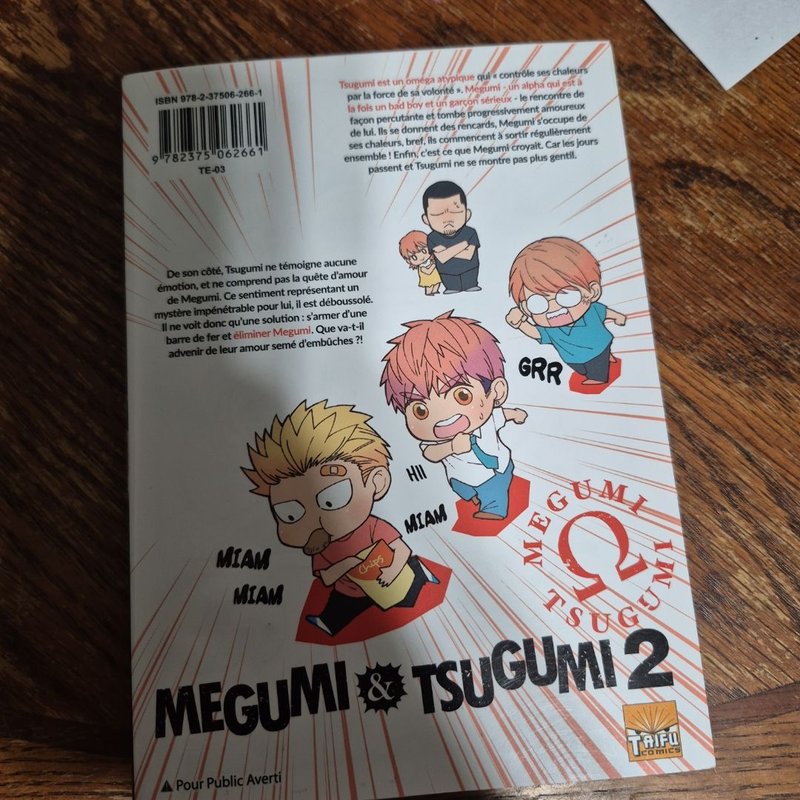 Megumi and Tsugumi vol 2(spanish)