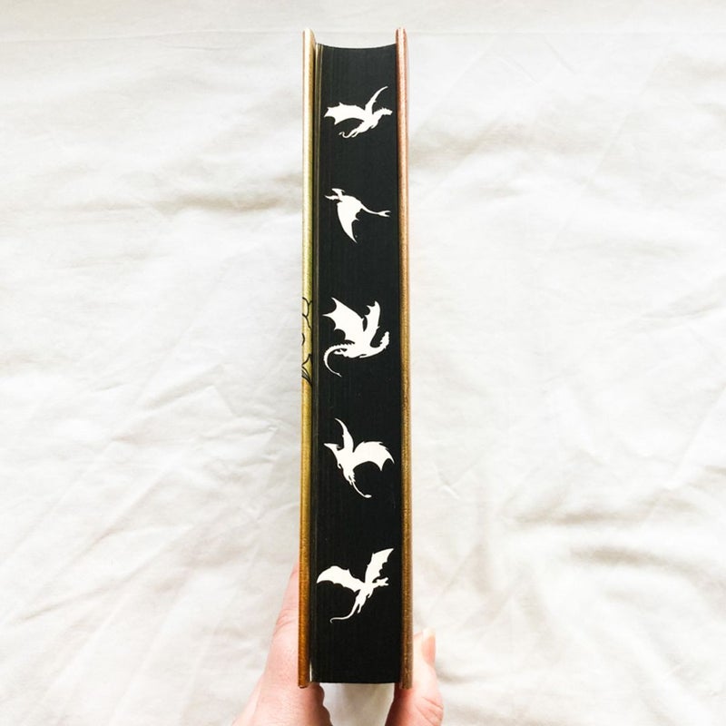 Fourth Wing (Dragon Stencil Edges!)