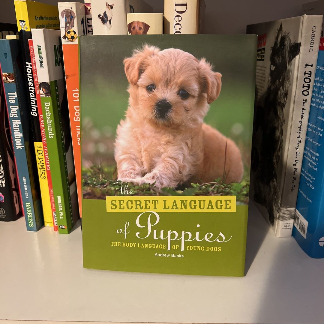 The Secret Language of Puppies