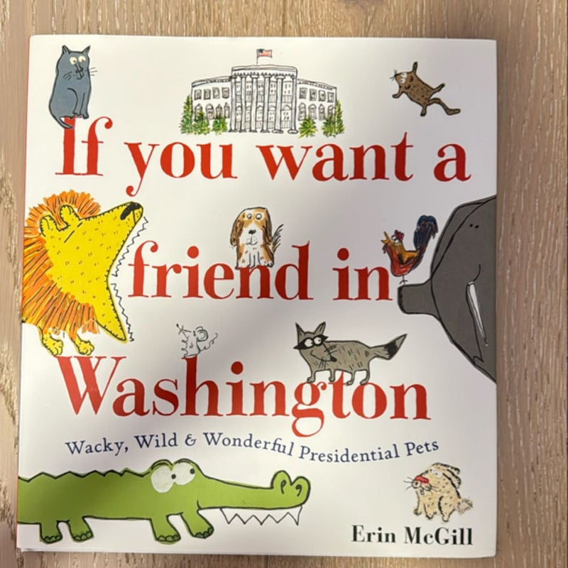 If You Want a Friend in Washington