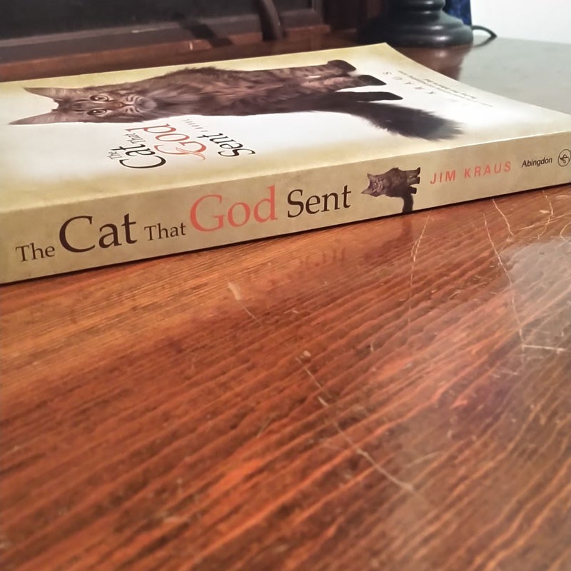 The Cat That God Sent