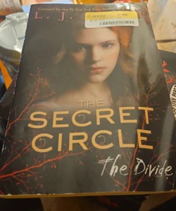 The Secret Circle: the Divide