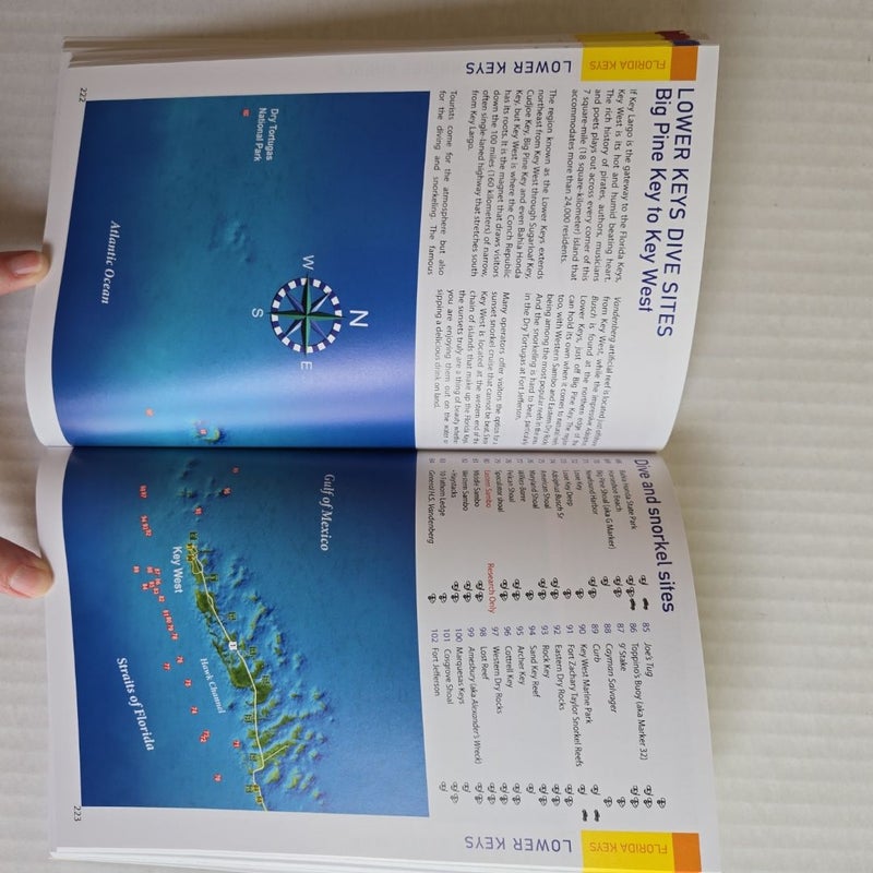 Reef Smart Guides Florida Keys