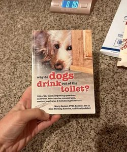 Why Do Dogs Drink Out of the Toilet?
