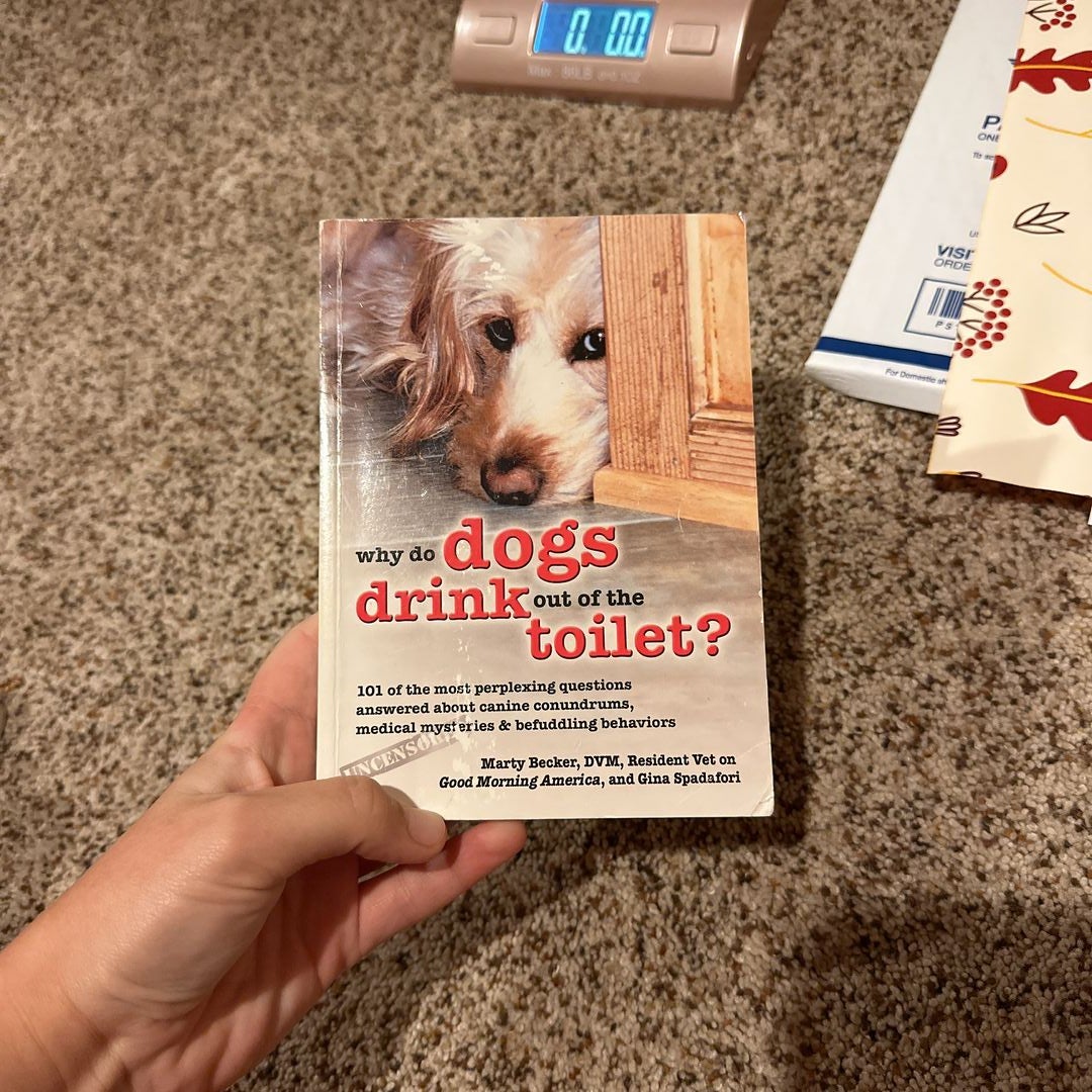 Why Do Dogs Drink Out of the Toilet? by Marty Becker, Paperback