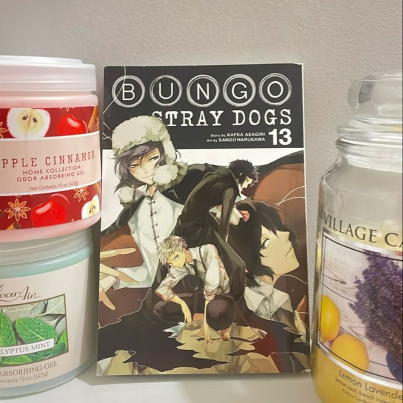 Bungo Stray Dogs, Vol. 13