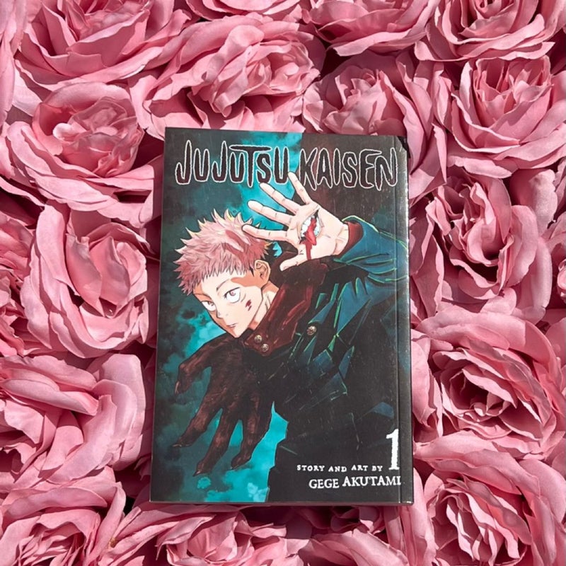 Jujutsu Kaisen, Vol. 1